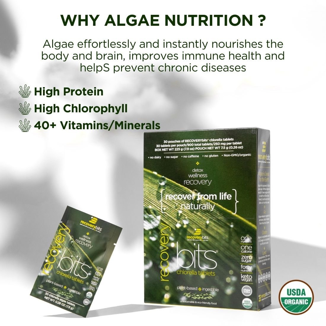RECOVERYbits® Chlorella | Large Box — imagen 4