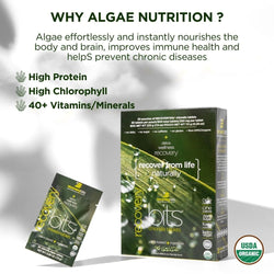 RECOVERYbits® Chlorella | Large Box — imagen 4